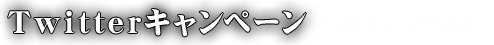 Twitterキャンペーン-Twitter campaign-