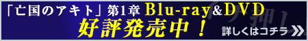 「亡国のアキト」第1章Blu-ray&DVDが2013年1月29日発売決定!!